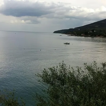 On The * زيروبيغادو